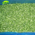 IQF Frozen Chinese Chive